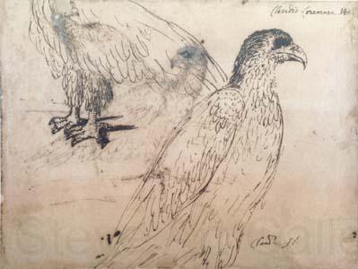 Claude Lorrain Eagles (mk17) Spain oil painting art